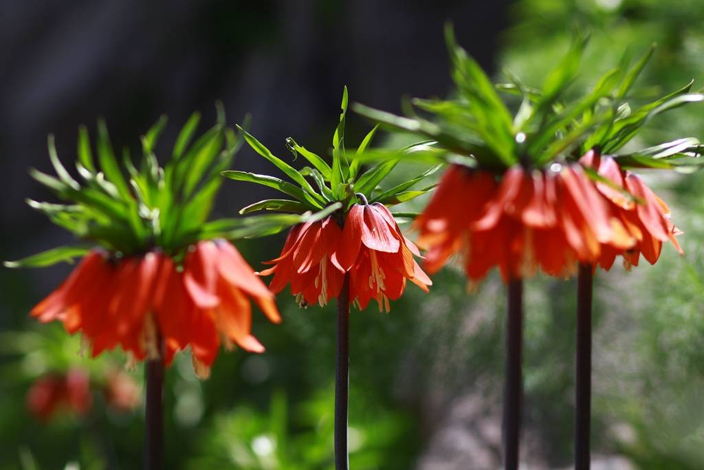 Halk arasında 'ağlayan gelin' olarak biliniyor. Görmek isteyenler kilometrelerce yol katediyor - Resim: 24
